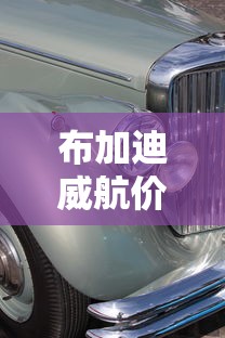 布加迪威航价格最低多少钱  第1张