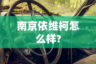 南京依维柯怎么样?  第1张