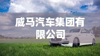 威马汽车集团有限公司  第1张
