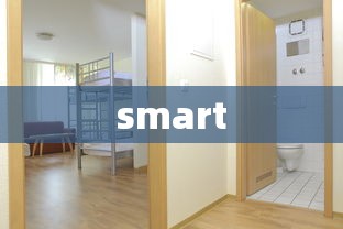 smart  第1张