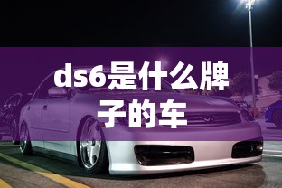 ds6是什么牌子的车  第1张