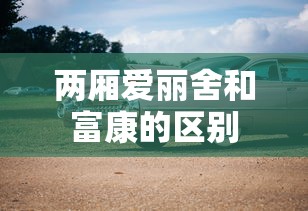 两厢爱丽舍和富康的区别  第1张