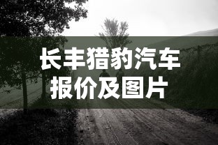 长丰猎豹汽车报价及图片  第1张