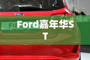 Ford嘉年华ST  第1张