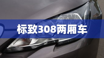 标致308两厢车  第1张