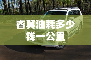 睿翼油耗多少钱一公里  第1张