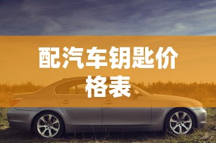 配汽车钥匙价格表  第1张