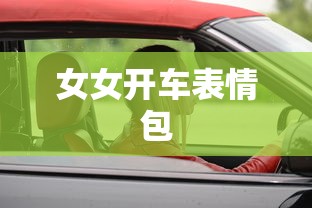 女女开车表情包  第1张
