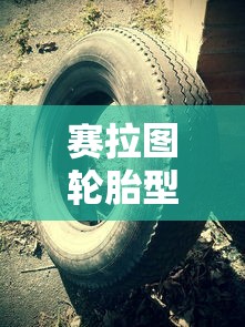 赛拉图轮胎型号是多少  第1张