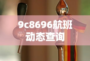 9c8696航班动态查询  第1张