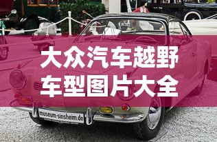 大众汽车越野车型图片大全  第1张