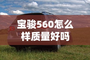 宝骏560怎么样质量好吗  第1张