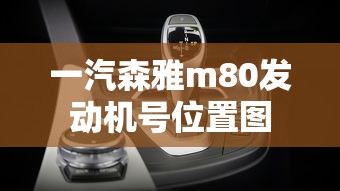 一汽森雅m80发动机号位置图  第1张