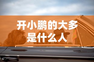 开小鹏的大多是什么人  第1张