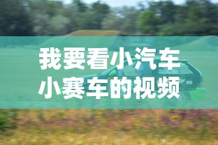 我要看小汽车小赛车的视频  第1张