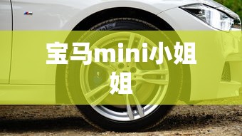 宝马mini小姐姐  第1张