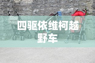 四驱依维柯越野车  第1张