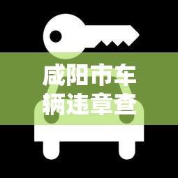 咸阳市车辆违章查询官方网站  第1张