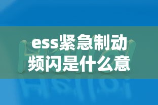 ess紧急制动频闪是什么意思  第1张
