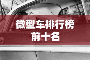 微型车排行榜前十名  第1张