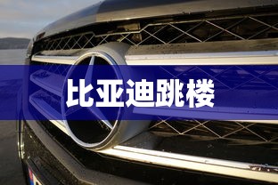 比亚迪跳楼  第1张