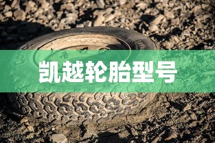 凯越轮胎型号  第1张