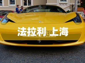 法拉利 上海  第1张