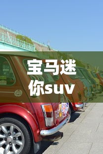 宝马迷你suv车型图片及价格  第1张