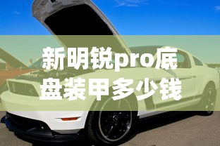 新明锐pro底盘装甲多少钱  第1张