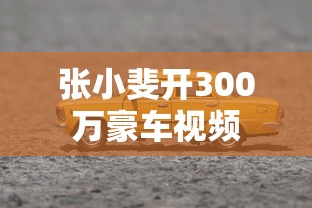 张小斐开300万豪车视频  第1张