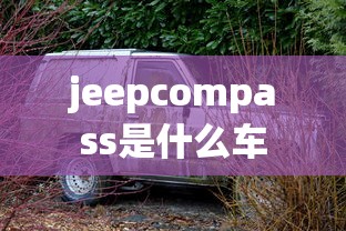 jeepcompass是什么车  第1张