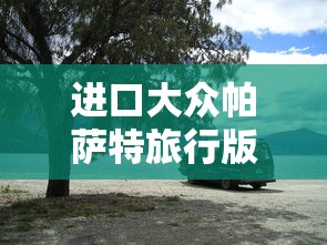 进口大众帕萨特旅行版  第1张