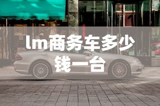 lm商务车多少钱一台  第1张