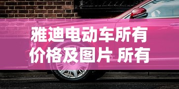 雅迪电动车所有价格及图片 所有车型