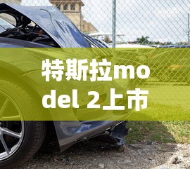 特斯拉model 2上市时间  第1张