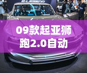 09款起亚狮跑2.0自动挡油耗  第1张