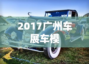 2017广州车展车模  第1张