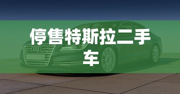 停售特斯拉二手车  第1张