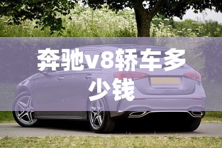 奔驰v8轿车多少钱  第1张