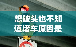 想破头也不知道堵车原因是800只鹅  第1张