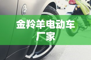 金羚羊电动车厂家  第1张