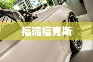 福瑞福克斯  第1张