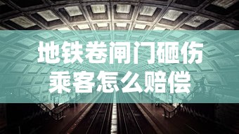 择天记手游职业介绍图  第1张