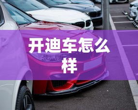 开迪车怎么样  第1张