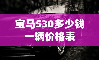 宝马530多少钱一辆价格表  第1张