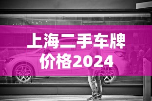 上海二手车牌价格2024  第1张