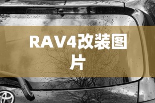 RAV4改装图片  第1张