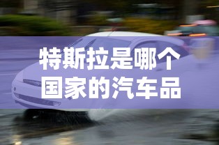 特斯拉是哪个国家的汽车品牌?  第1张