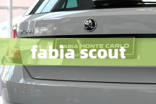 fabia scout  第1张