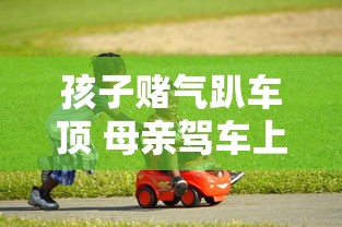 孩子赌气趴车顶 母亲驾车上路怎么办  第1张